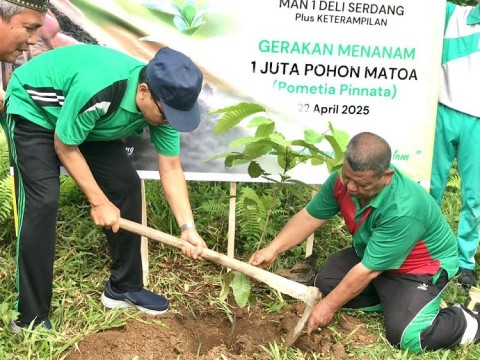 Sukseskan Gerakan Penanaman Sejuta Pohon Matoa, MAN 1 Deli S 
